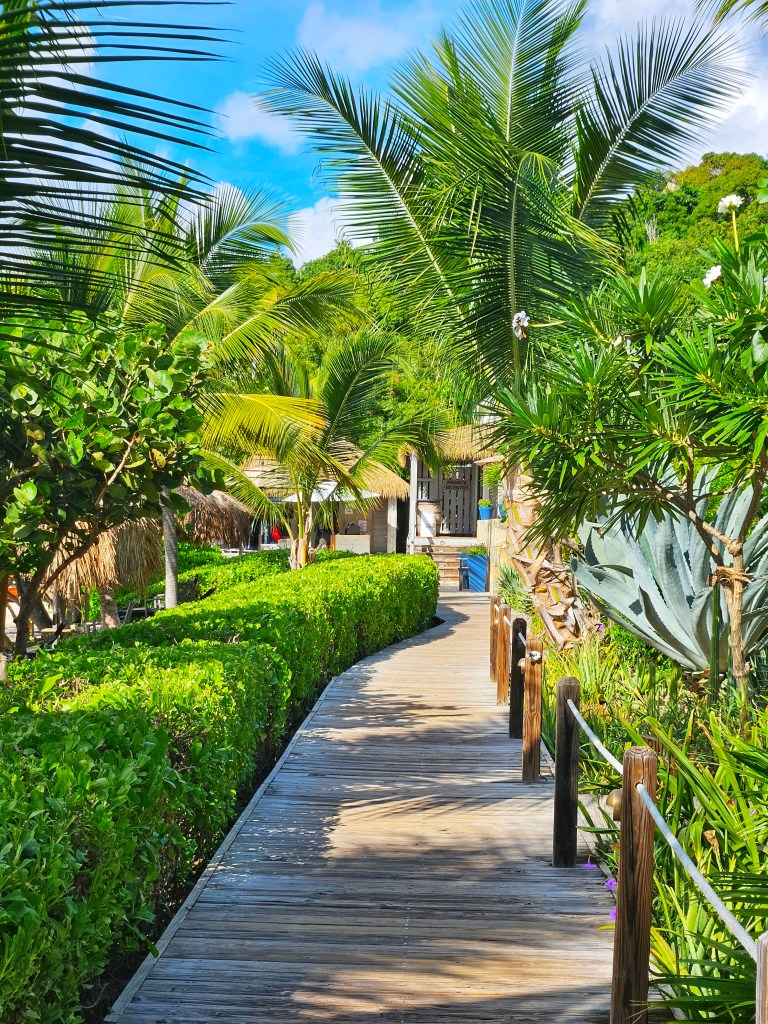 Beautiful walkway at Cooper Island Beach Club